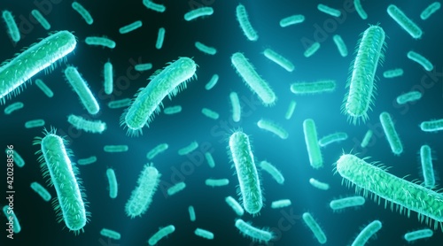 E coli is a gram negative bacteria in human intestine, 3d illustration photo