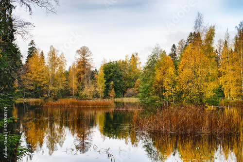 Lovely autumn day