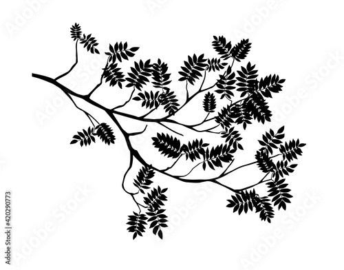 Summer tree monochrome branch with leaves. Vector illustration