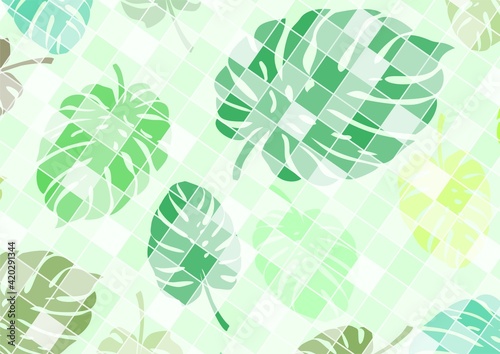 White checkered background with leaves of a plant called monstera as a base for designing your own works