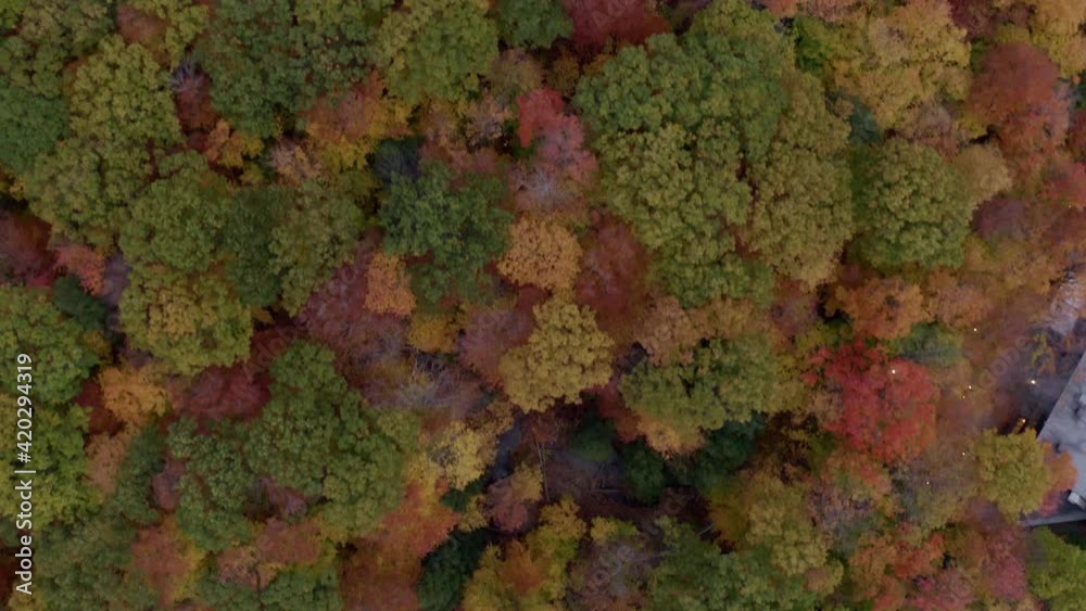 Drone doing a pan from a overhead view of a colourful rest and revealing a quiet neighbourhood