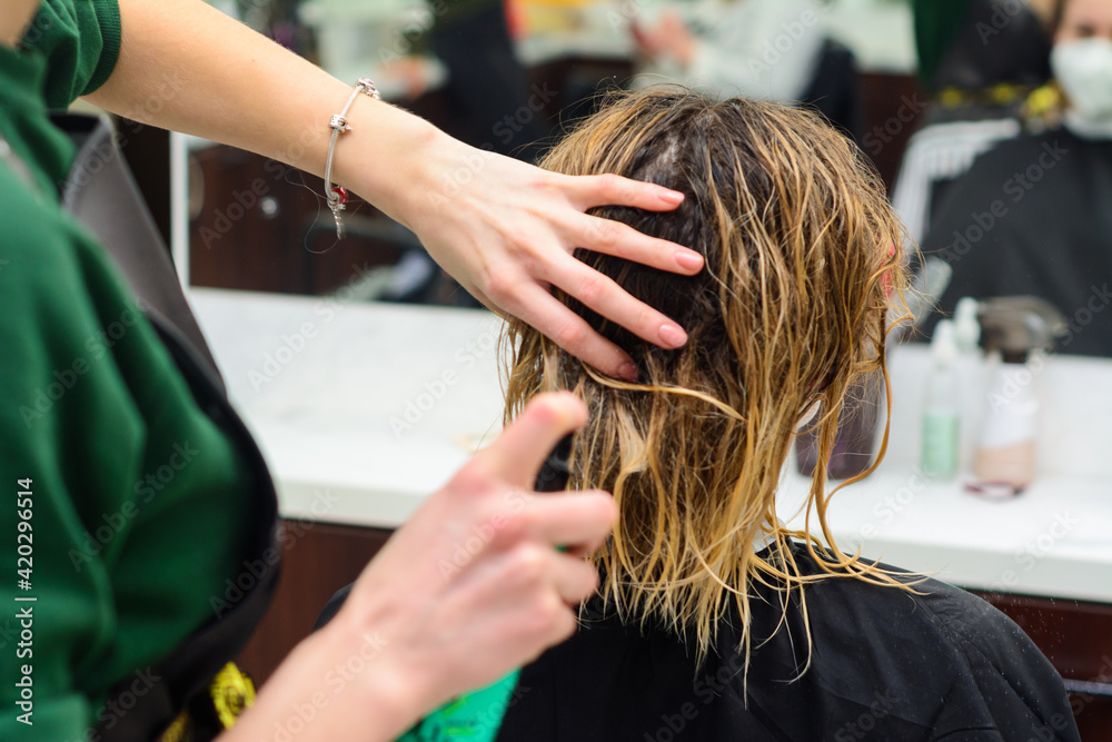 Combing wet hair, clean and washed head, preparation for a haircut. Combing wet hair, clean and washed head, preparation for a haircut.