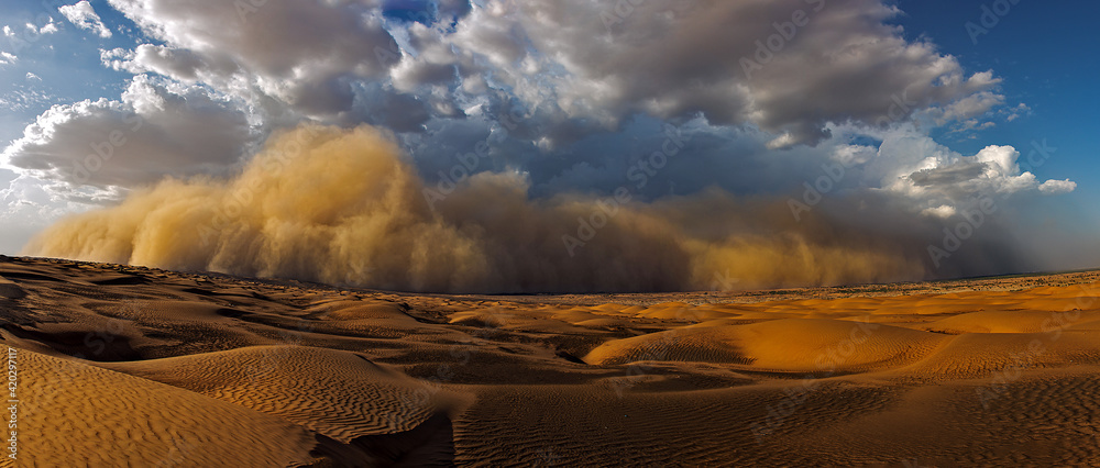 Storm, Sand storm in desert of high altitude with cumulonimbus rain clouds  - obrazy, fototapety, plakaty 