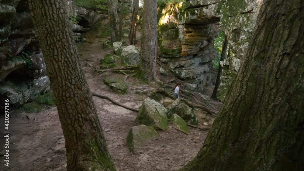 A young adventurous woman hiking in an enchanting ravine forest along a rocky trail, walking beneath a natural rock bridge arch, cinematic slow motion wide tracking shot A young adventurous woman hiking in an enchanting ravine forest along a rocky trail, walking beneath a natural rock bridge arch, cinematic slow motion wide tracking shot