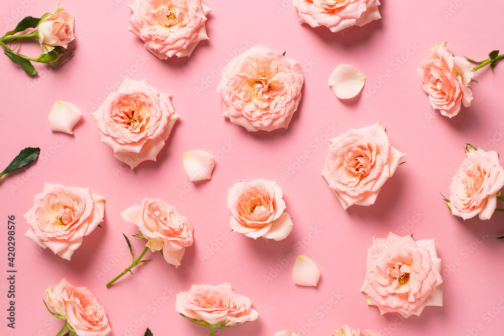 Rose flowers layout with petal and leaf pattern on pink background Rose flowers layout with petal and leaf pattern on pink background