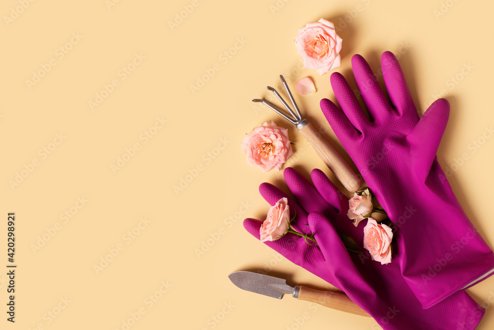Planting tools set, pink gloves, rose flaowers, shovel and rake flat lay on yellow background Planting tools set, pink gloves, rose flaowers, shovel and rake flat lay on yellow background