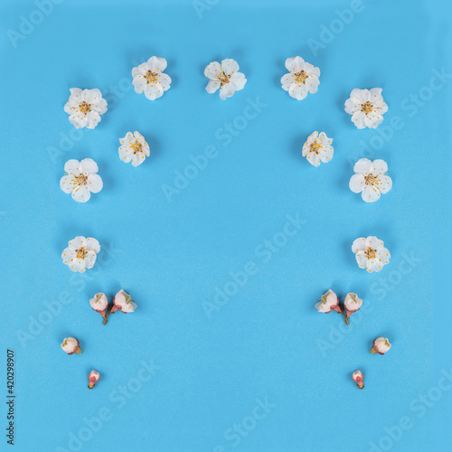 Fresh spring flowers on blue paper background. Flower patern.
