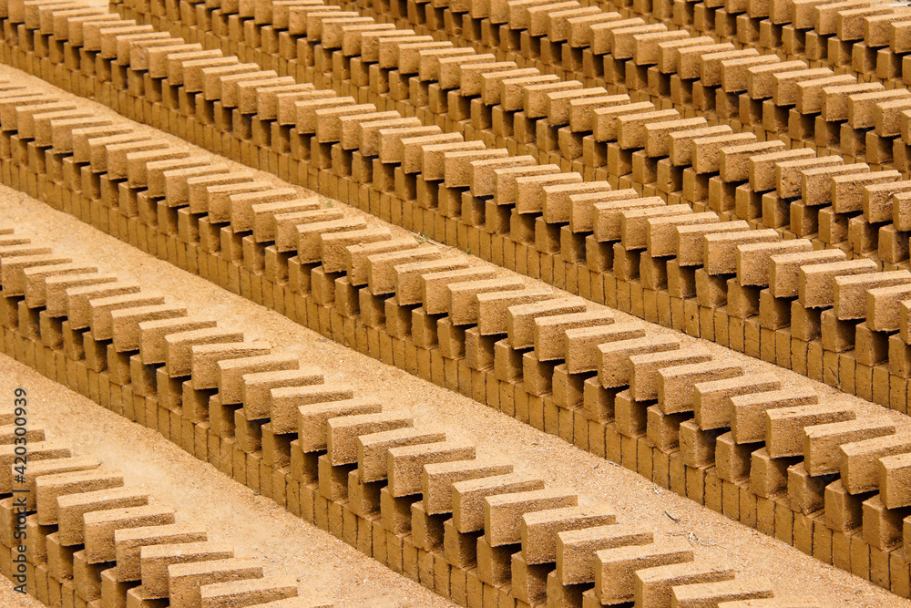Fototapeta premium Mud bricks drying in the sun, Sri Lanka