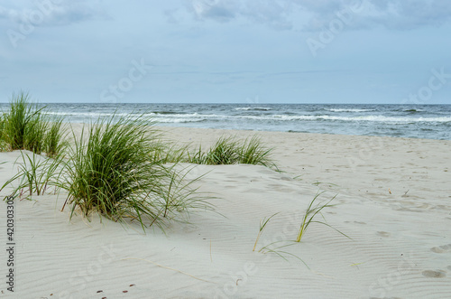 Wybrzeże bałtyckie, plaża w Krynicy Morskiej