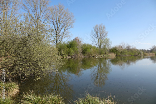 Reinheimer Teich bei Darmstadt photo