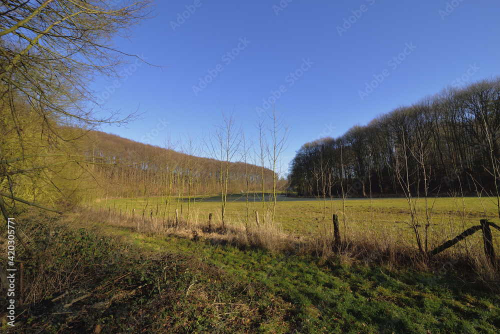 Landscape in winter in bright sunshine