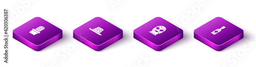 Set Isometric Cactus or succulent in pot, Mexican sombrero, wrestler and Tabasco sauce icon. Vector