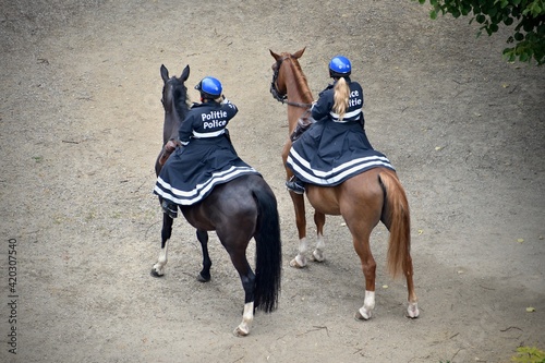 Two mounted police officers waiting at street as back up force