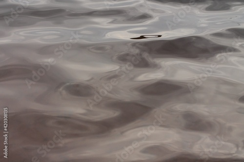 waves on the water surface. small waves on a cloudy day