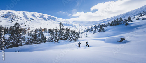 Obraz na plátně Mountaineer backcountry ski walking ski alpinist in the mountains