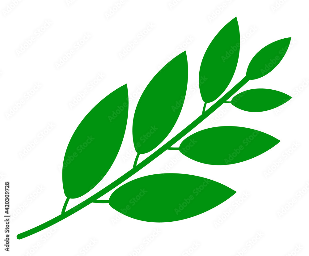 Coca plant leaves icon. Illustration style is a flat iconic symbol. Simple Coca plant leaves vector illustration.