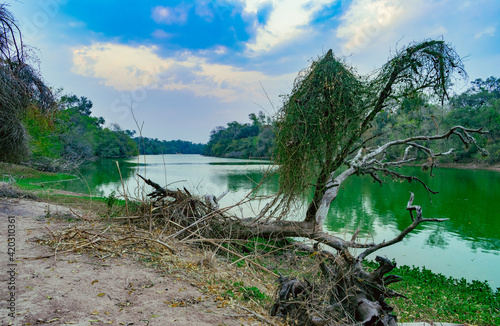 lago verde, lago el salado en el litoral chaqueño