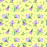 Spring flower seamless pattern Watercolor purple crocus