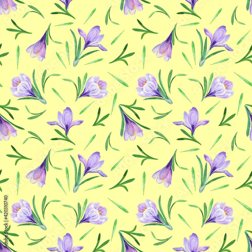 Spring flower seamless pattern Watercolor purple crocus