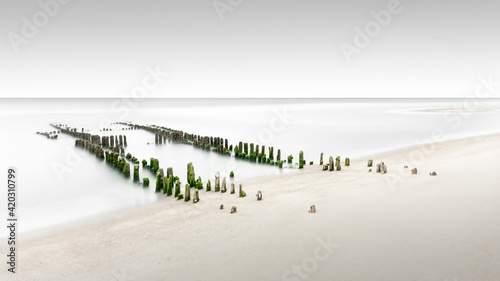 Alte, veralgte Buhnen am Strand der Nordsee bei Rantum auf Sylt photo