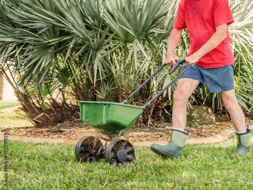 Man fertilizing and seeding residential lawn with manual grass seed spreader. photo