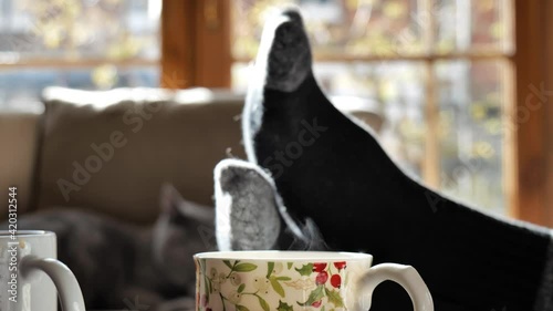 Steam rising from a cup of tea next to feet up on a coffee table and a cat. Relaxing at home