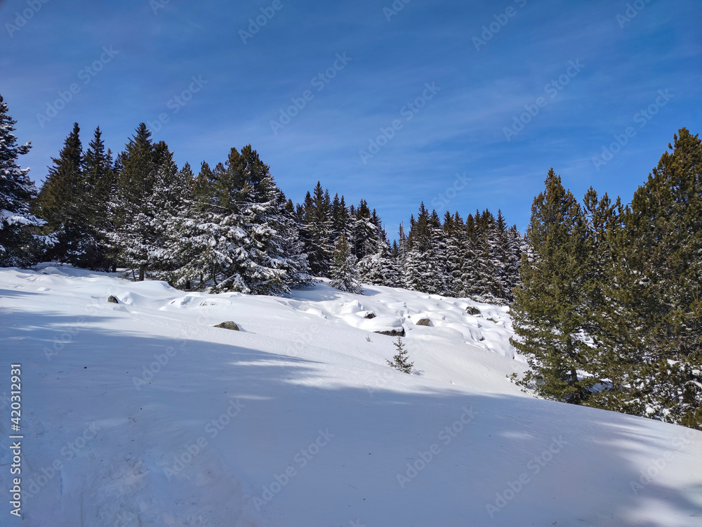 Winter view of Vitosha Mountain, Bulgaria Winter view of Vitosha Mountain, Bulgaria
