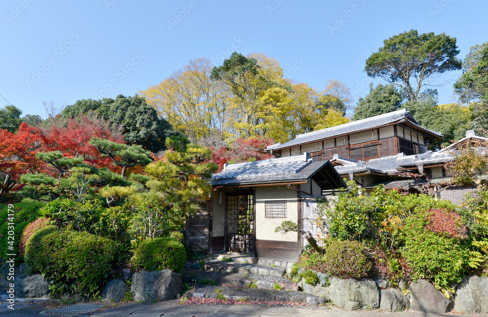 秋の嵯峨野の風景 京都市 秋の嵯峨野の風景 京都市