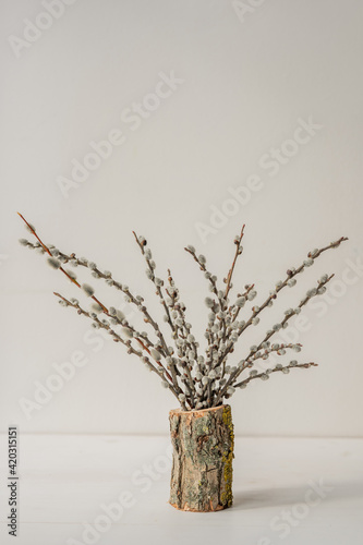 spring easter pussy willow catkins twigs in a natural wood log vase 