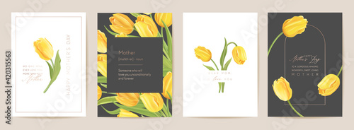 Mother day floral spring postcard. Greeting realistic tulip flowers template, modern flower background