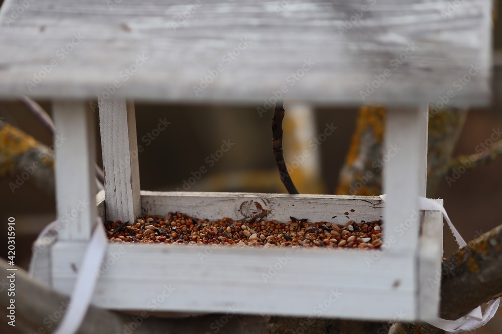 Wooden Birdhouse in Forest. Bird Feeder with Mix of Seeds. Wooden Birdhouse in Forest. Bird Feeder with Mix of Seeds.