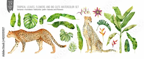 Panel kuchenny z motywem Watercolor cats, tropical leaves and flowers set. Colorfull set for design textile, wallpapers, prints and banners.