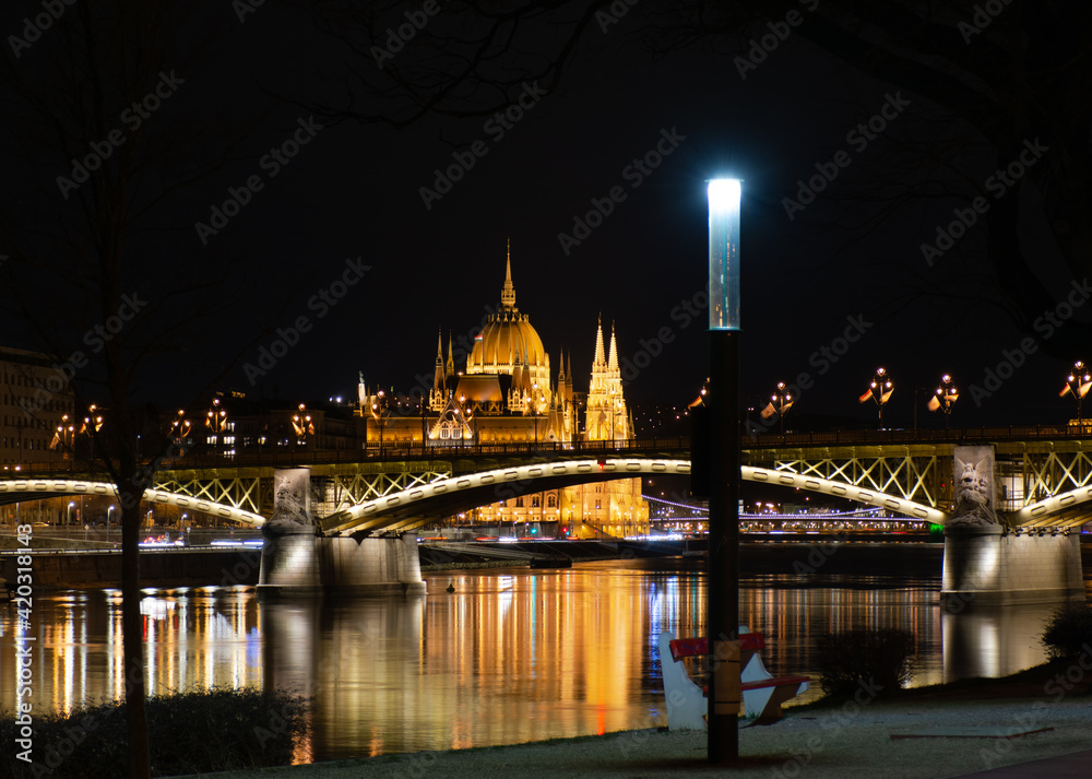 Obraz premium Hungary, night city Budapest, parliament on the background of the night city