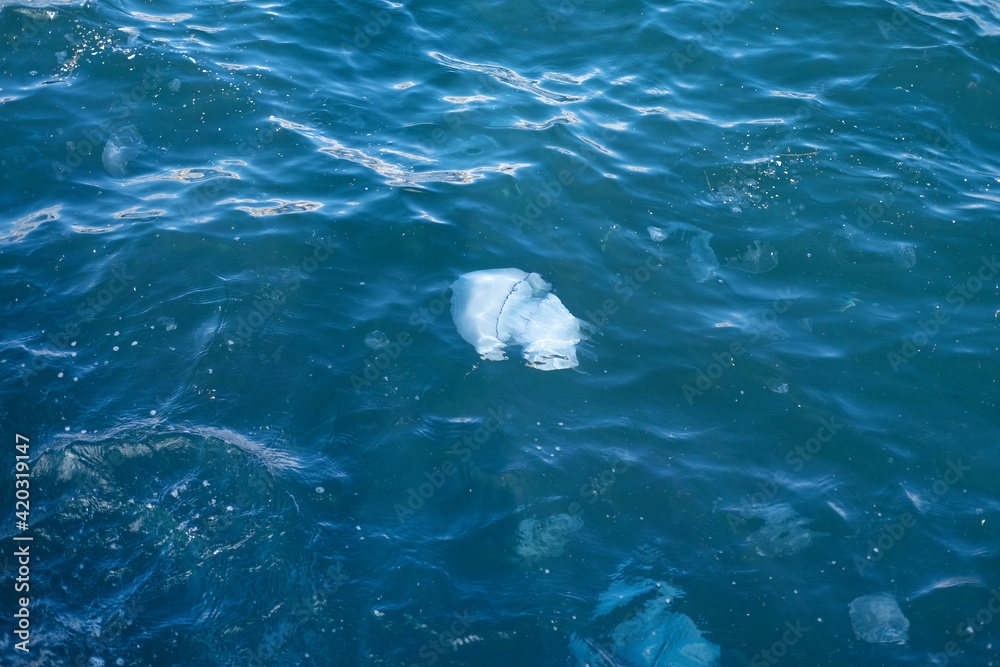 Naklejka premium Bright white jellyfish swims in blue water