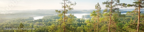 Tableau sur toile Saimaa lake in a fog at sunrise, Finland, aerial view