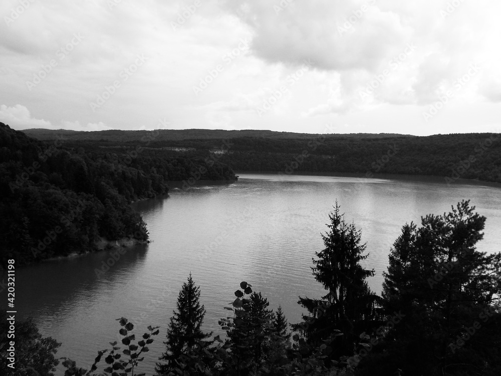 Paysage Lac Jura France Noir et Blanc