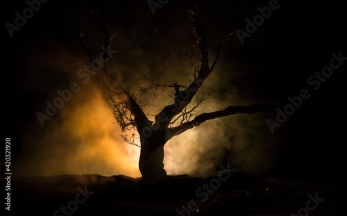 Spooky dark landscape showing silhouettes of trees in the swamp on misty night. Night mysterious landscape in cold tones - silhouettes of the bare tree branches against the full moon