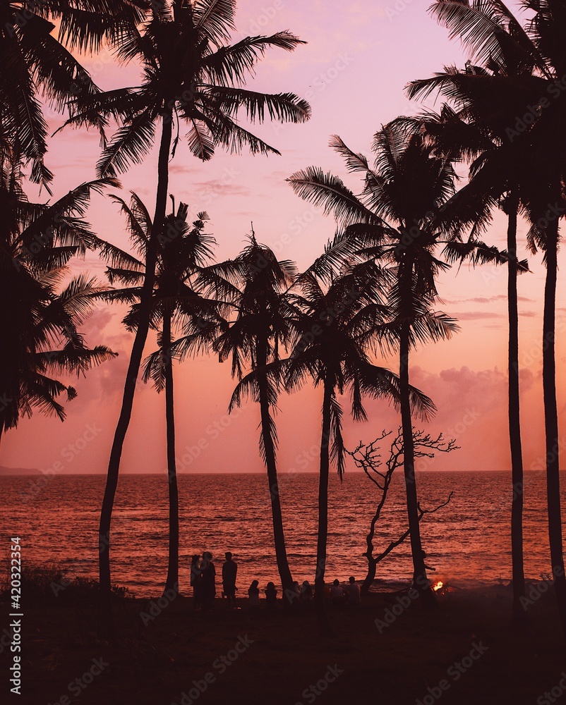 Fototapeta premium sunset on the beach