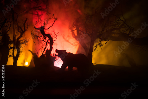 Horror view of big bear in forest at night. Angry bear behind the fire cloudy sky. The silhouette of a bear in foggy forest dark background photo