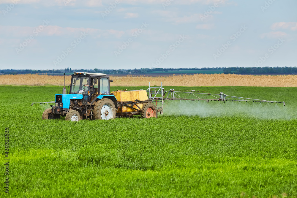 Fototapeta premium Tractor spraying pesticides at wheat fields