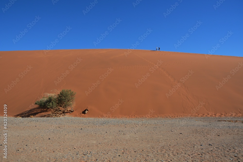 Landschaft in der Nähe der Düne 45 auf dem Weg zum Sossusvlei im Namib-Naukluft Nationalpark (Namibia). 