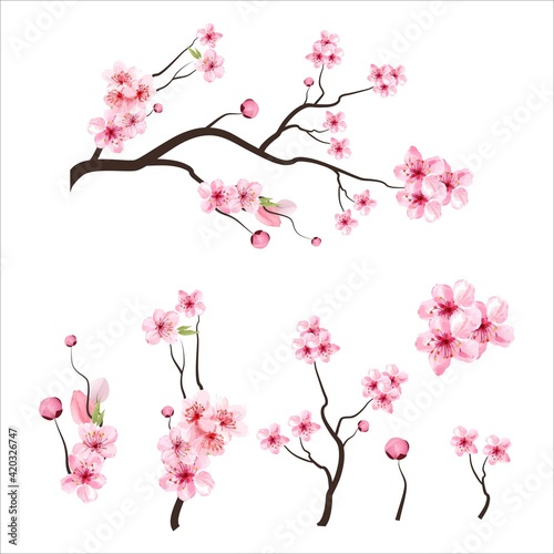 branch tree vector illustration summer clipart autumn clipart nature forest, Background cherry blossom spring flower Japan,  Branch of blooming sakura with flowers, cherry blossom