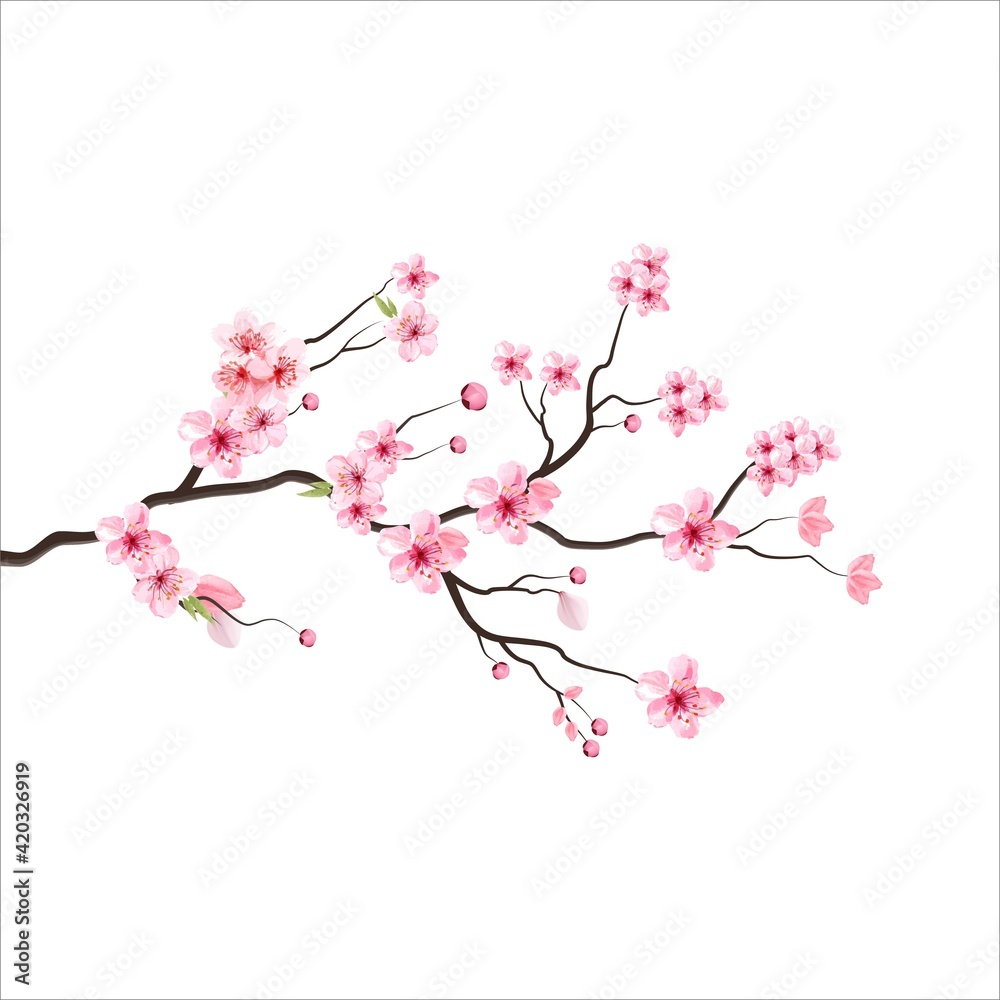 Naklejka premium branch tree vector illustration summer clipart autumn clipart nature forest, Background cherry blossom spring flower Japan, Branch of blooming sakura with flowers, cherry blossom