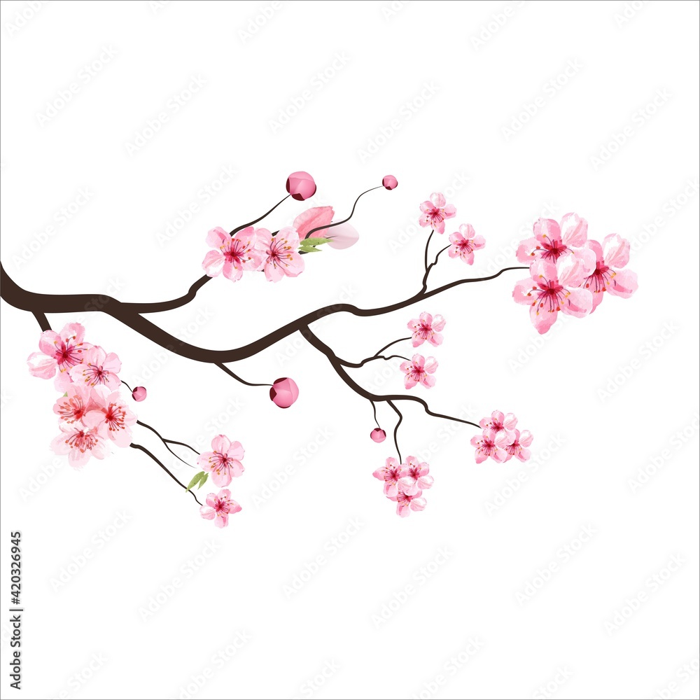 Fototapeta premium branch tree vector illustration summer clipart autumn clipart nature forest, Background cherry blossom spring flower Japan, Branch of blooming sakura with flowers, cherry blossom