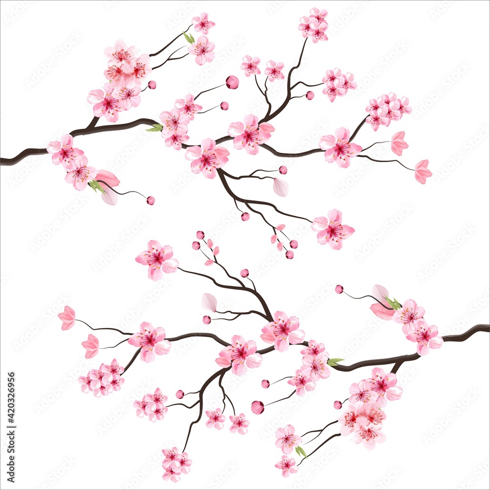 branch tree vector illustration summer clipart autumn clipart nature forest, Background cherry blossom spring flower Japan, Branch of blooming sakura with flowers, cherry blossom branch tree vector illustration summer clipart autumn clipart nature forest, Background cherry blossom spring flower Japan, Branch of blooming sakura with flowers, cherry blossom