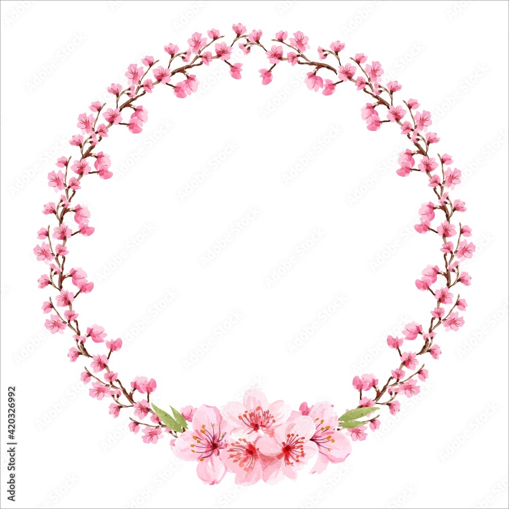 cherry blossom from blossoming apple-tree isolated on white background. Flowering cherry branches, apricots. Wedding frame. Sakura. Illustration. Watercolour. Handmade cherry blossom from blossoming apple-tree isolated on white background. Flowering cherry branches, apricots. Wedding frame. Sakura. Illustration. Watercolour. Handmade