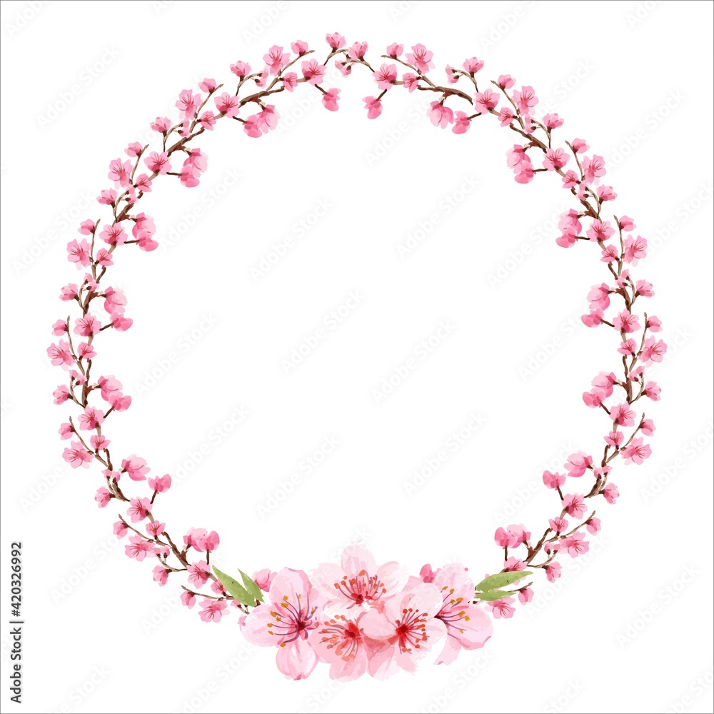 cherry blossom from blossoming apple-tree isolated on white background. Flowering cherry branches, apricots. Wedding frame. Sakura. Illustration. Watercolour. Handmade