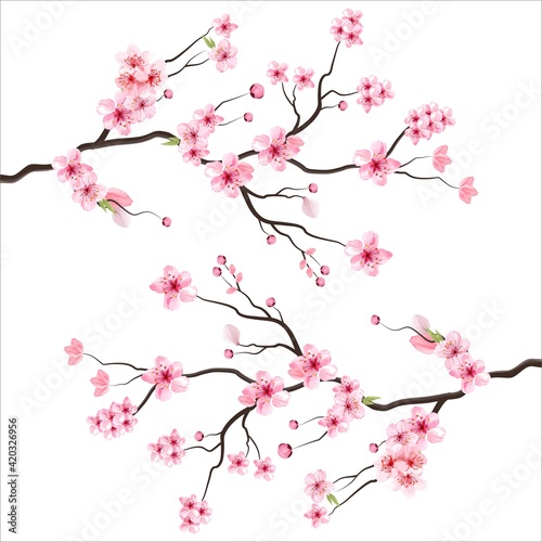 branch tree vector illustration summer clipart autumn clipart nature forest, Background cherry blossom spring flower Japan, Branch of blooming sakura with flowers, cherry blossom