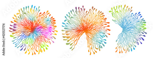 Beautiful colored dandelions. Set of multicolored abstract flowers. Vector illustration