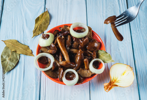 Armillaria mellea or honey fungus marinated in an orange plate with spices and onions on a blue table. Idea for a delicious snack for breakfast or lunch. Top view photo